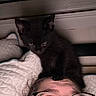 Nightwing is registered to the contest to win money with this photo: kitten, black_cat, person, glasses, face, indoor, pillow, quilt, window, curtains, head, pet, cute, animal, resting, cozy, looking_up, funny, home, closeup