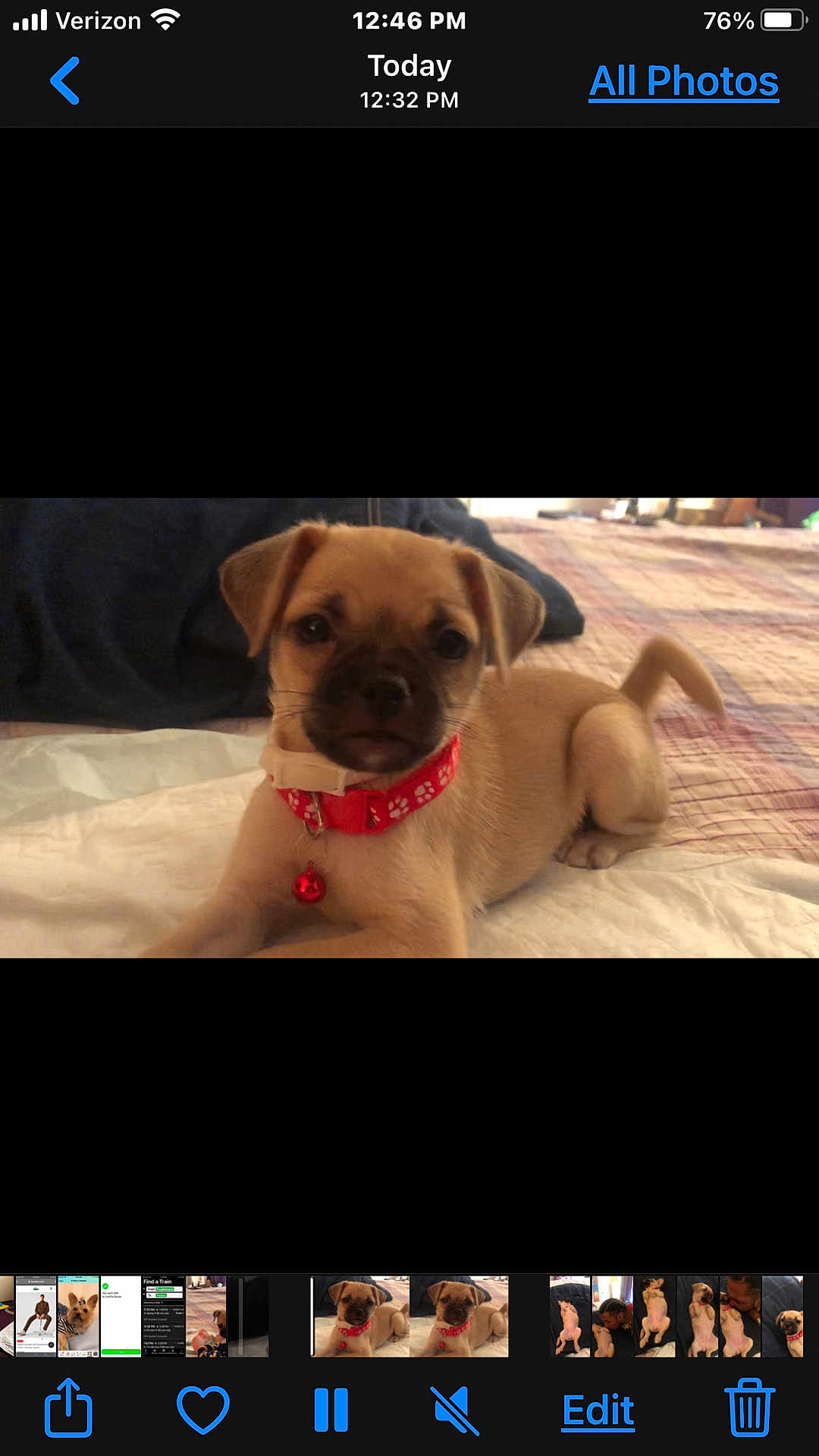 Fifi