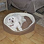 ATHOS participe au concours pour gagner de l'argent avec cette photo :