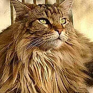 Florilege participe au concours pour gagner de l'argent avec cette photo :