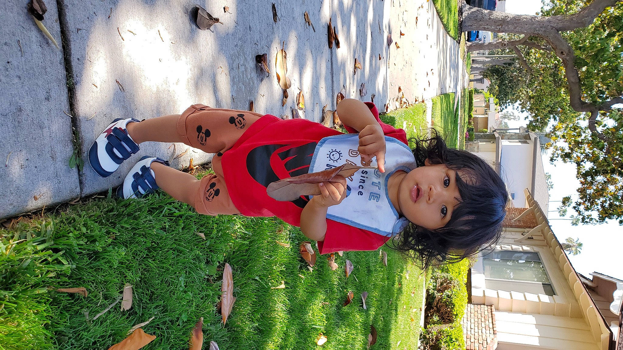 Xavier is registered to the contest to win money with this photo: child, fun, grass, happy, hat, human_leg, leisure, people_in_nature, person, plant, recreation, shorts, summer, thigh, toddler, tree, vacation