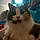 Millie
