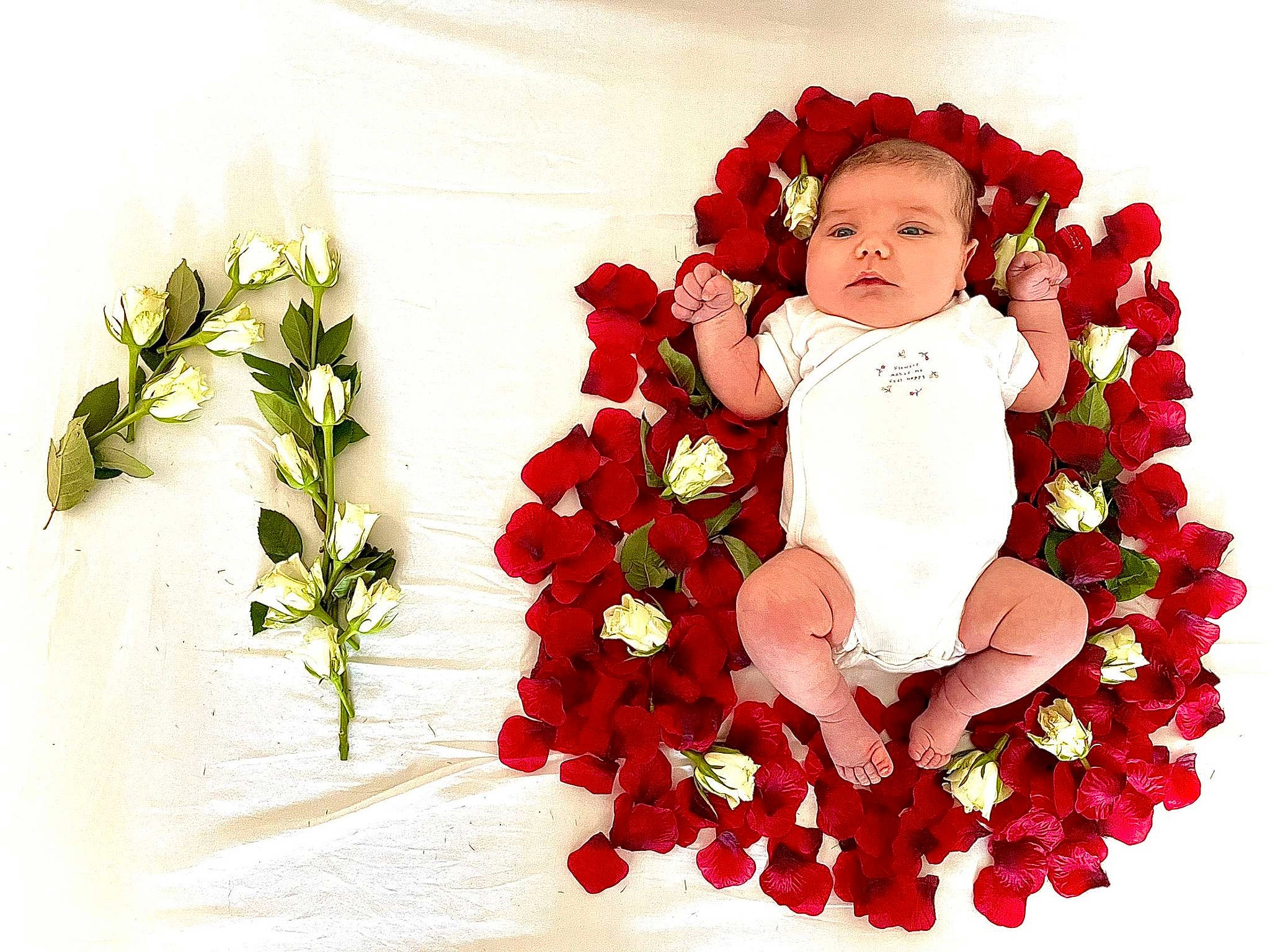 Inaya participe au concours pour gagner de l'argent avec cette photo : arm, artificial_flower, baby_toddler_clothing, bouquet, cut_flowers, event, floral_design, floristry, flower, flower_arranging, flowering_plant, font, garden_roses, happy, human_body, person, petal, plant, rose, rose_family