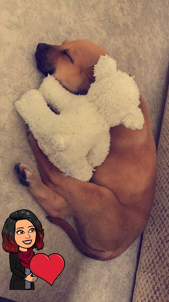 Aïko a rejoint le concours — aidez-le/la à gagner de superbes lots ! art, child, love, puppy_love, teddy_bear