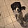 Tiago