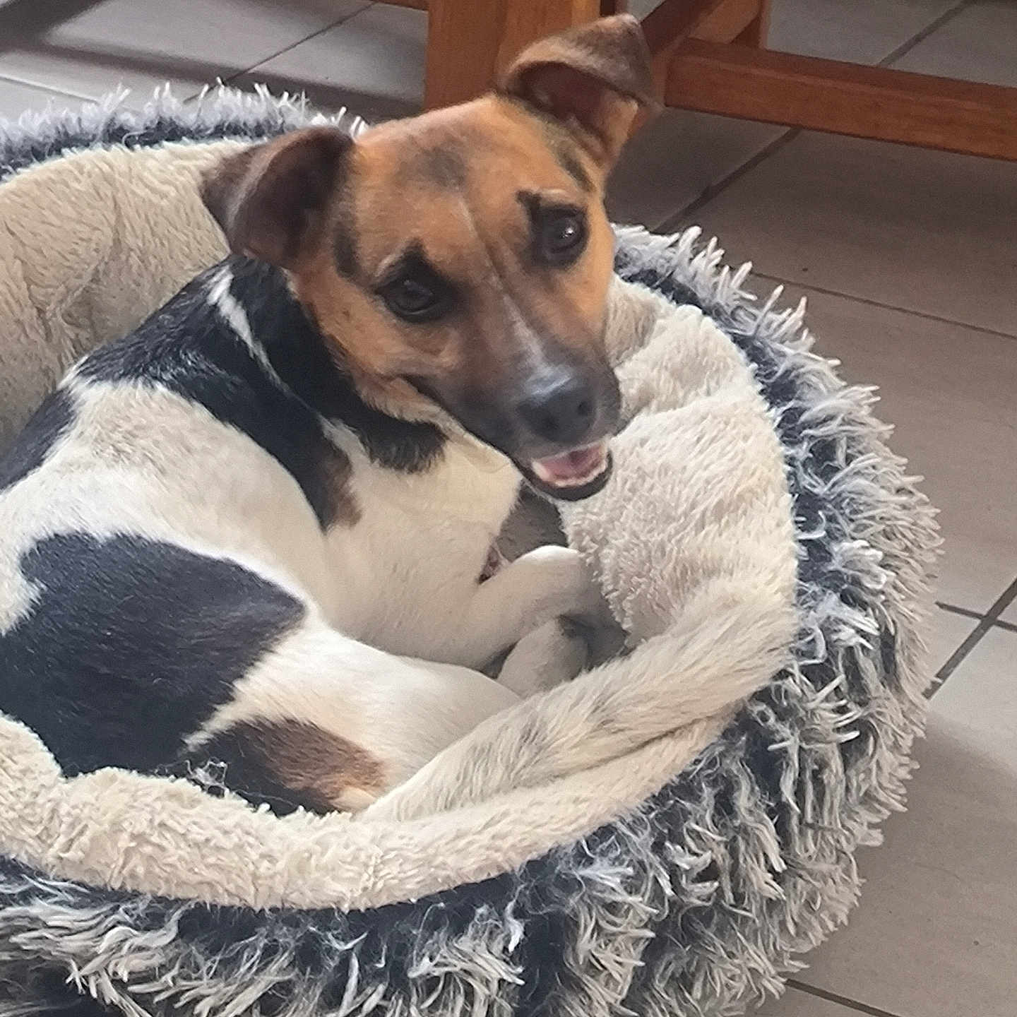 Roxy