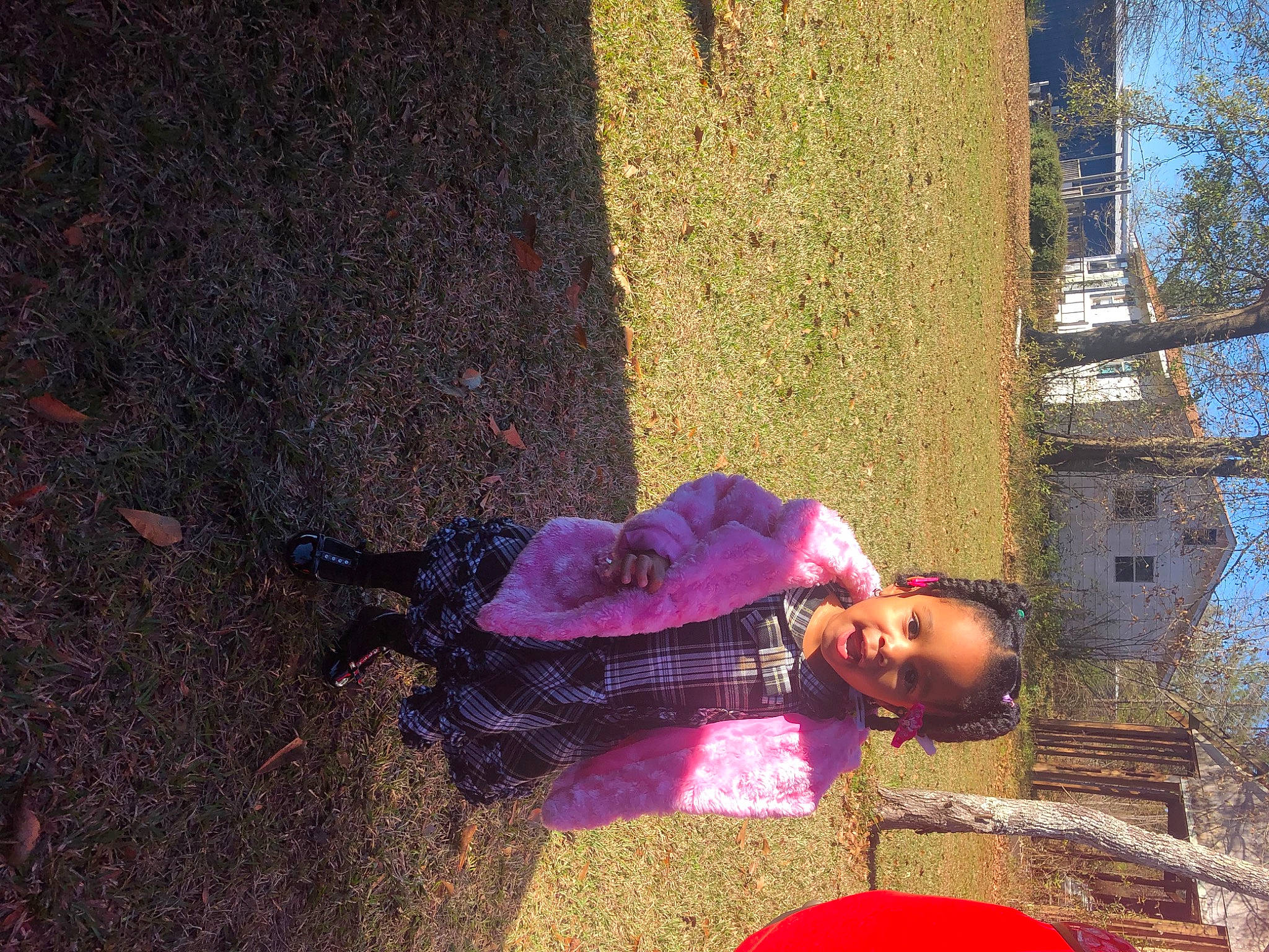 Naila Butler is registered to the contest to win money with this photo: adaptation, child, fun, person, plant, smile, tree