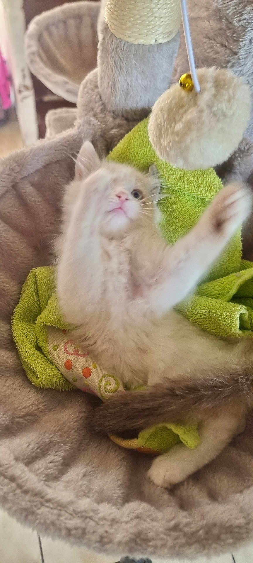 Luna