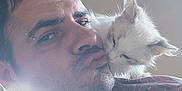 Luna participe au concours pour gagner de l'argent avec cette photo : man, cat, affection, indoor, window, light, facial_hair, piercing, striped_shirt, white_cat, closeup, pet, human, animal, love, cuddle, portrait, casual, beard, skin