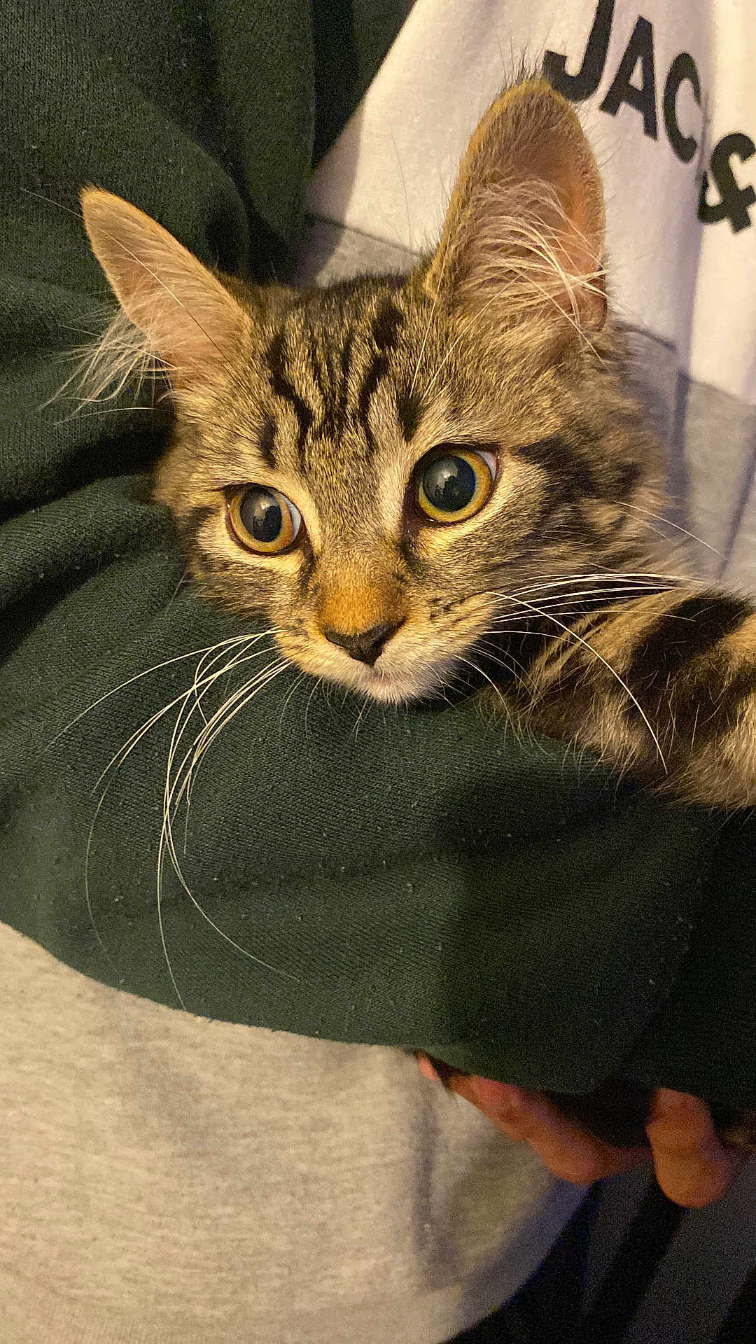 Minnie