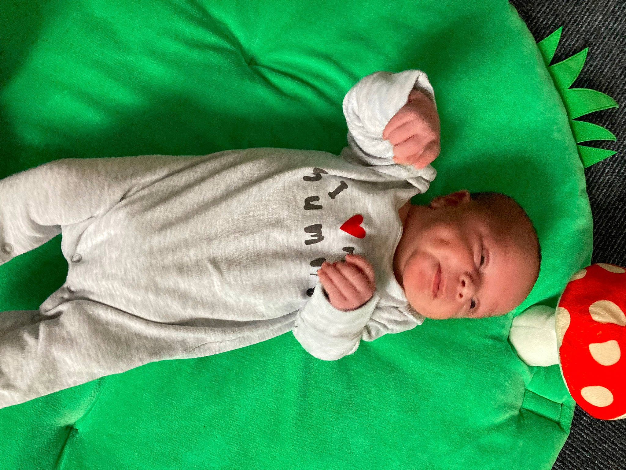 Kurtis is registered to the contest to win money with this photo: baby, baby_products, baby_toddler_clothing, child, christmas, clothing, comfort, event, facial_expression, green, hat, head, holiday, human_body, lap, linens, person, skin, sleeve, textile