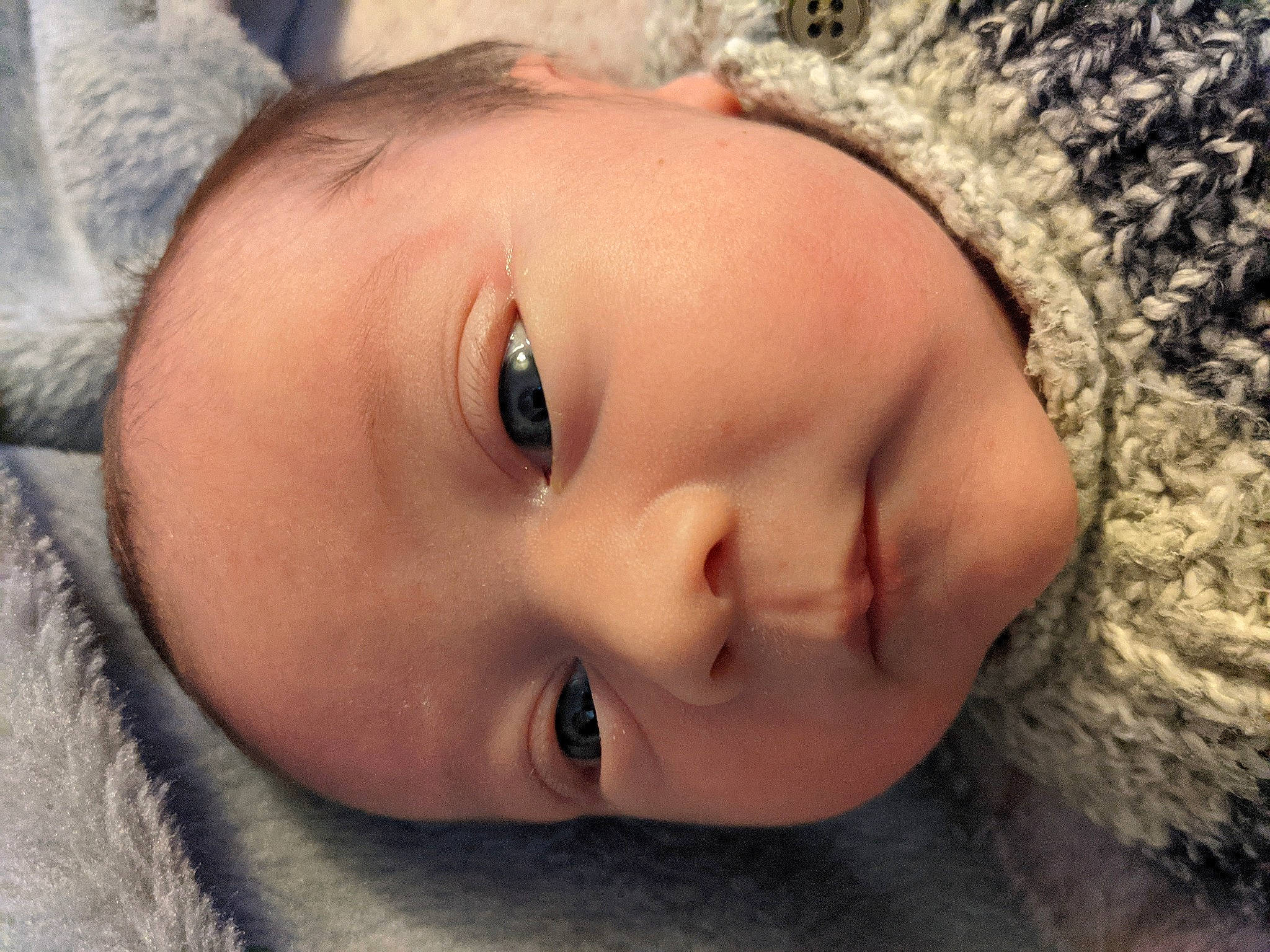 Kolby joined the competition — help win amazing prizes! baby, cheek, child, chin, close_up, comfort, eyebrow, eyelash, forehead, fur, iris, lip, nose, organ, person, photography, portrait_photography, skin, textile, toddler