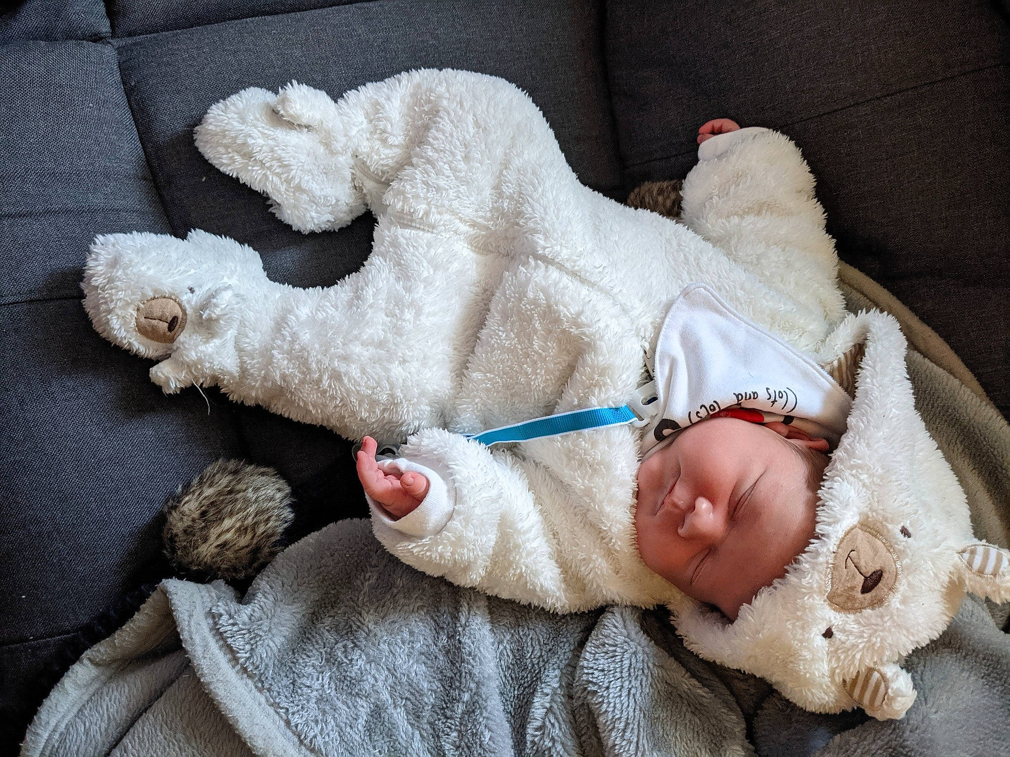 Kolby joined the competition — help win amazing prizes! baby, baby_products, baby_sleeping, baby_toddler_clothing, baby_toys, comfort, craft, fawn, fur, headwear, person, plush, product, stuffed_toy, textile, thread, toy, wool, woolen
