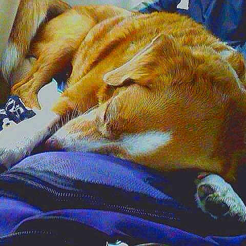 Sandy is registered to the contest to win money with this photo: