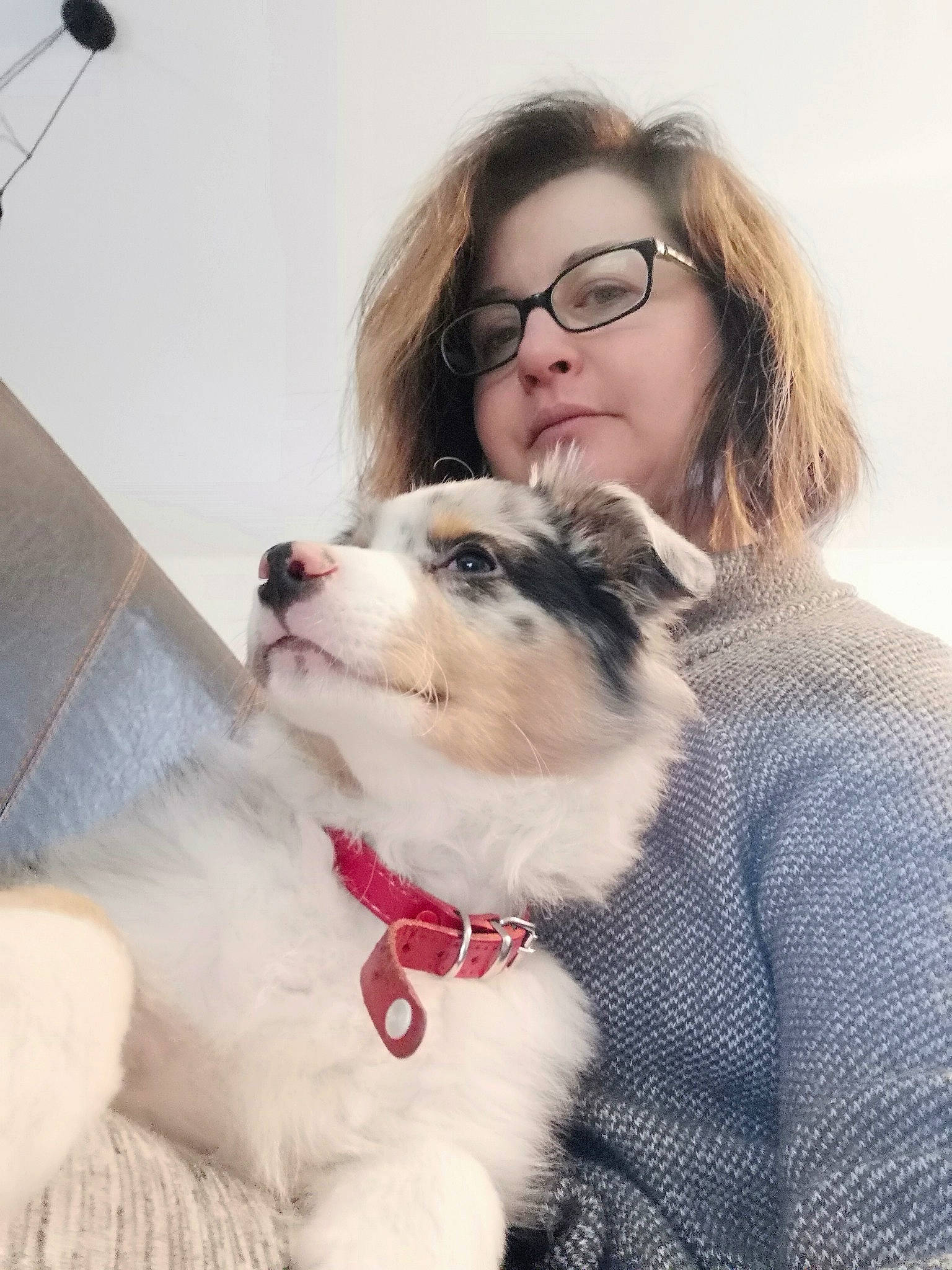 Oslo a rejoint le concours — aidez-le/la à gagner de superbes lots ! companion_dog, dog, dog_breed, dog_breed_group, dog_clothes, dog_like_mammal, ear, eyewear, fur, girl, glasses, person, puppy, puppy_love, skin, snout, sunglasses, vision_care