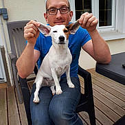 Zoé a rejoint le concours — aidez-le/la à gagner de superbes lots ! black_chair, blue_shirt, brown_patch, casual_clothing, chair, dog, ears, glasses, happy, holding_ears, man, outdoor, pet, playful, sitting, small_dog, table, white_dog, window, wooden_deck