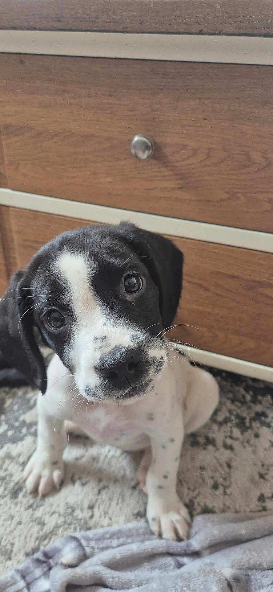 Duncan
