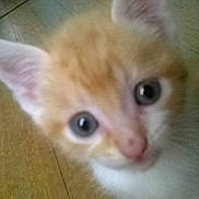 Jacotte participe au concours pour gagner de l'argent avec cette photo :