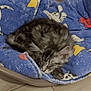 kitten, cat, sleeping, pet_bed, blue_blanket, stars, cartoon_dogs, cozy, furry, gray_tabby, curled_up, floor, tile, indoor, resting, cute, animal, domestic_pet, relaxation, soft