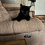 black_cat, cat, pet, indoor, sofa, furniture, living_room, curious, animal, cozy, wooden_wall, couch, resting, ears, eyes, domestic_animal, home_interior, relaxed, table, jacket