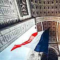 Sannier D.