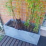 cat, black_cat, animal, pet, sitting, portrait, bamboo, plants, planter, flower_box, brick_wall, wooden_deck, outdoor, garden, patio, greenery, leaves, soil, alert, furry