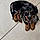 Pixel