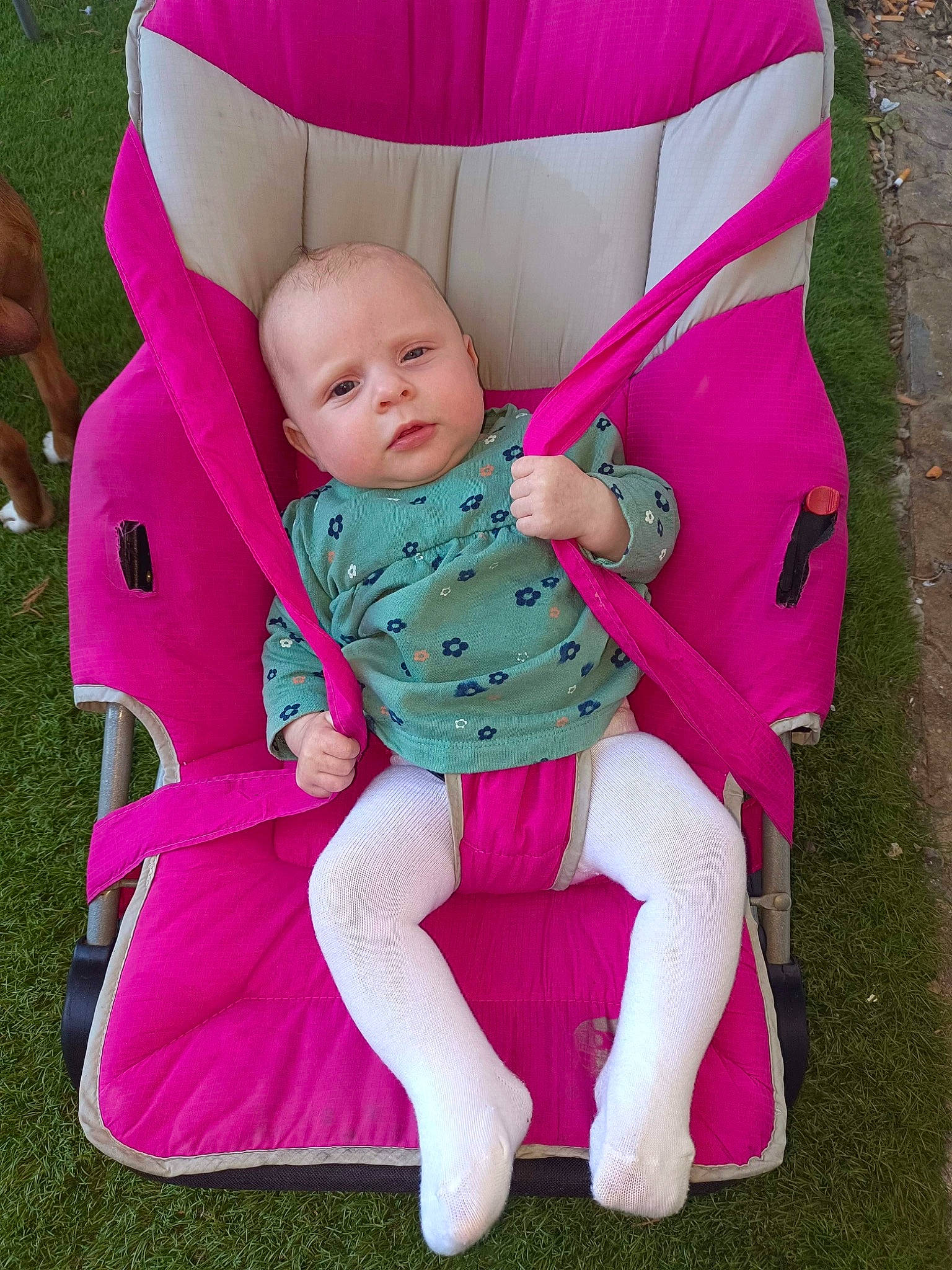 Chelsea a rejoint le concours — aidez-le/la à gagner de superbes lots ! baby, baby_carriage, baby_products, baby_toddler_clothing, chair, child, comfort, fun, grass, lap, leisure, magenta, person, pink, purple, recreation, shoe, sitting, sleeve, thigh