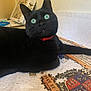 Hijo is registered to the contest to win money with this photo: black_cat, green_eyes, red_collar, cat, indoor, jigsaw_puzzle, puzzle_pieces, curious, pet, animal, feline, closeup, table, relaxing, whiskers, fur, face, looking_up, domestic_cat, household