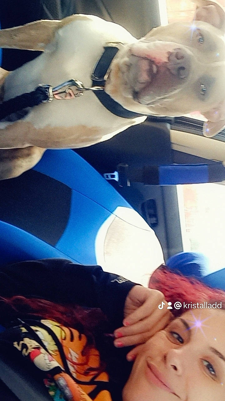 King joined the competition — help win amazing prizes! azure, beauty, chest, dress, electric_blue, eye, eyelash, fun, gesture, headgear, human, jaw, mouth, muscle, organ, photograph, skin, snapshot, thigh, white