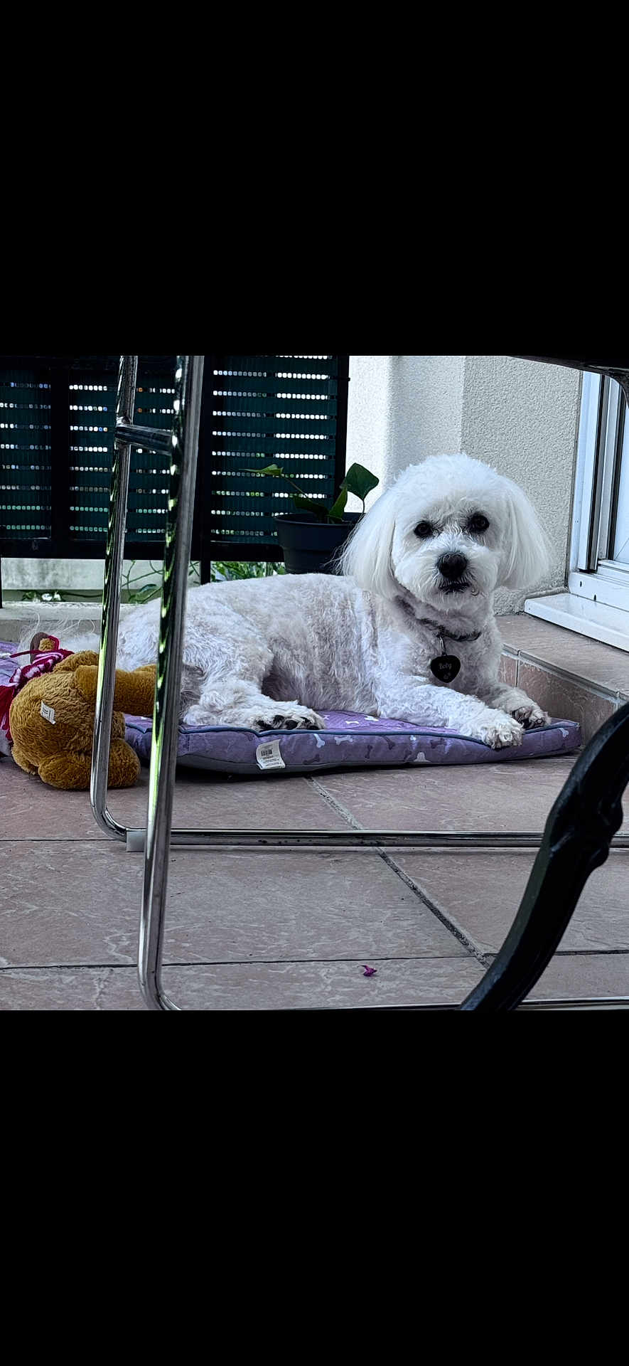 Boby