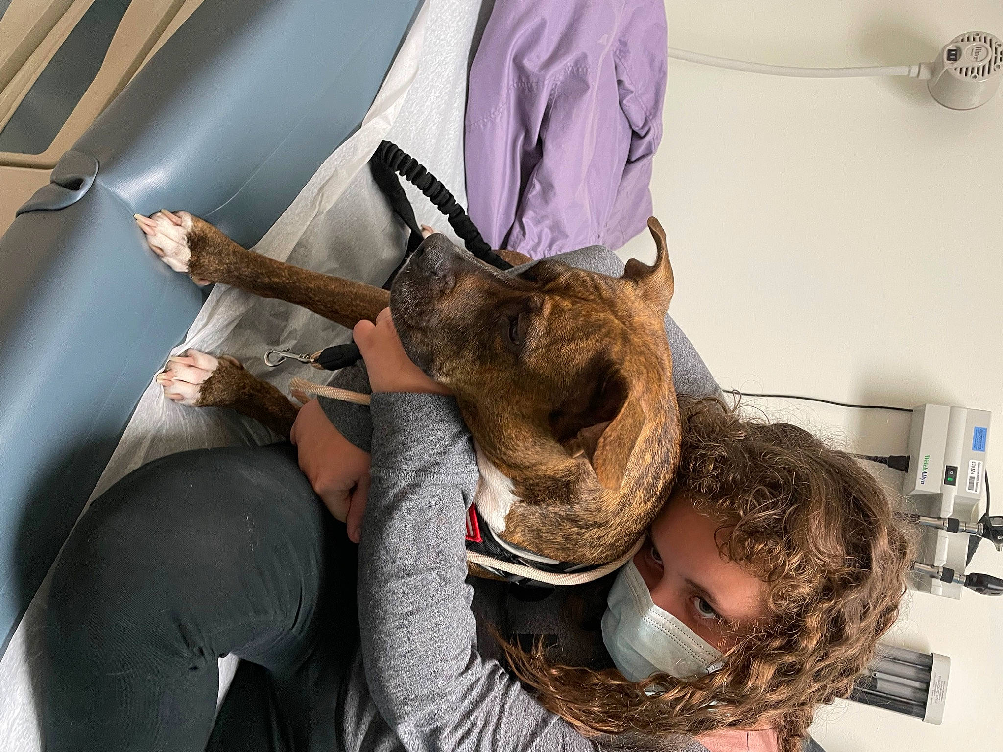 Skye is registered to the contest to win money with this photo: bat, event, fashion_accessory, fashion_design, fawn, feather, flesh, fun, fur, horn, metal, natural_material, room, service, snout, wildlife_biologist