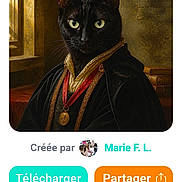 Kalinou participe au concours pour gagner de l'argent avec cette photo : ai_art, animal, black_cat, cat, collar, costume, digital_art, facebook, french_text, green_eyes, humorous, indoors, medallion, ornate, phone_screenshot, portrait, robe, sitting, website, window