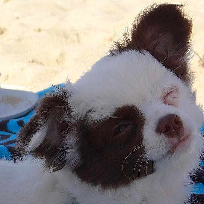 Joy a rejoint le concours — aidez-le/la à gagner de superbes lots !