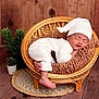 newborn, baby, sleeping, white_clothing, hat, rattan_chair, brown_cushion, wooden_floor, wooden_wall, potted_plants, cozy, infant, cute, resting, portrait, indoors, soft_texture, small_feet, peaceful, child