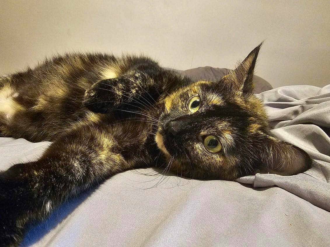 Lucy