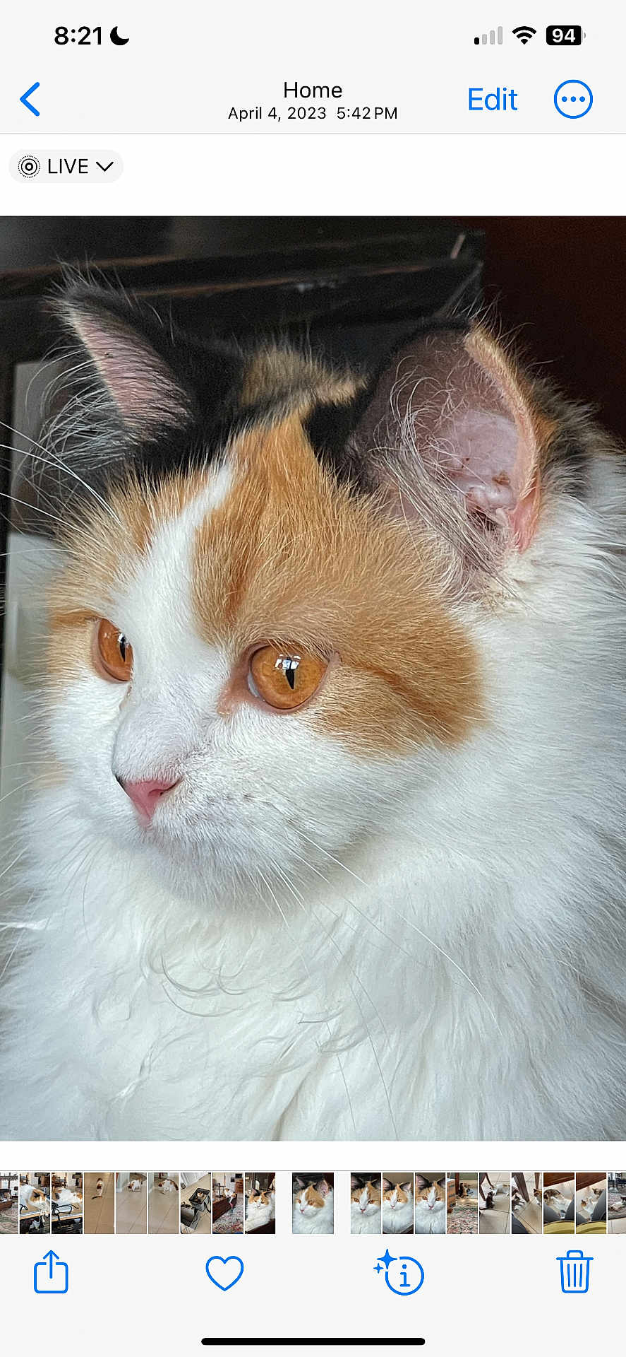 Lola
