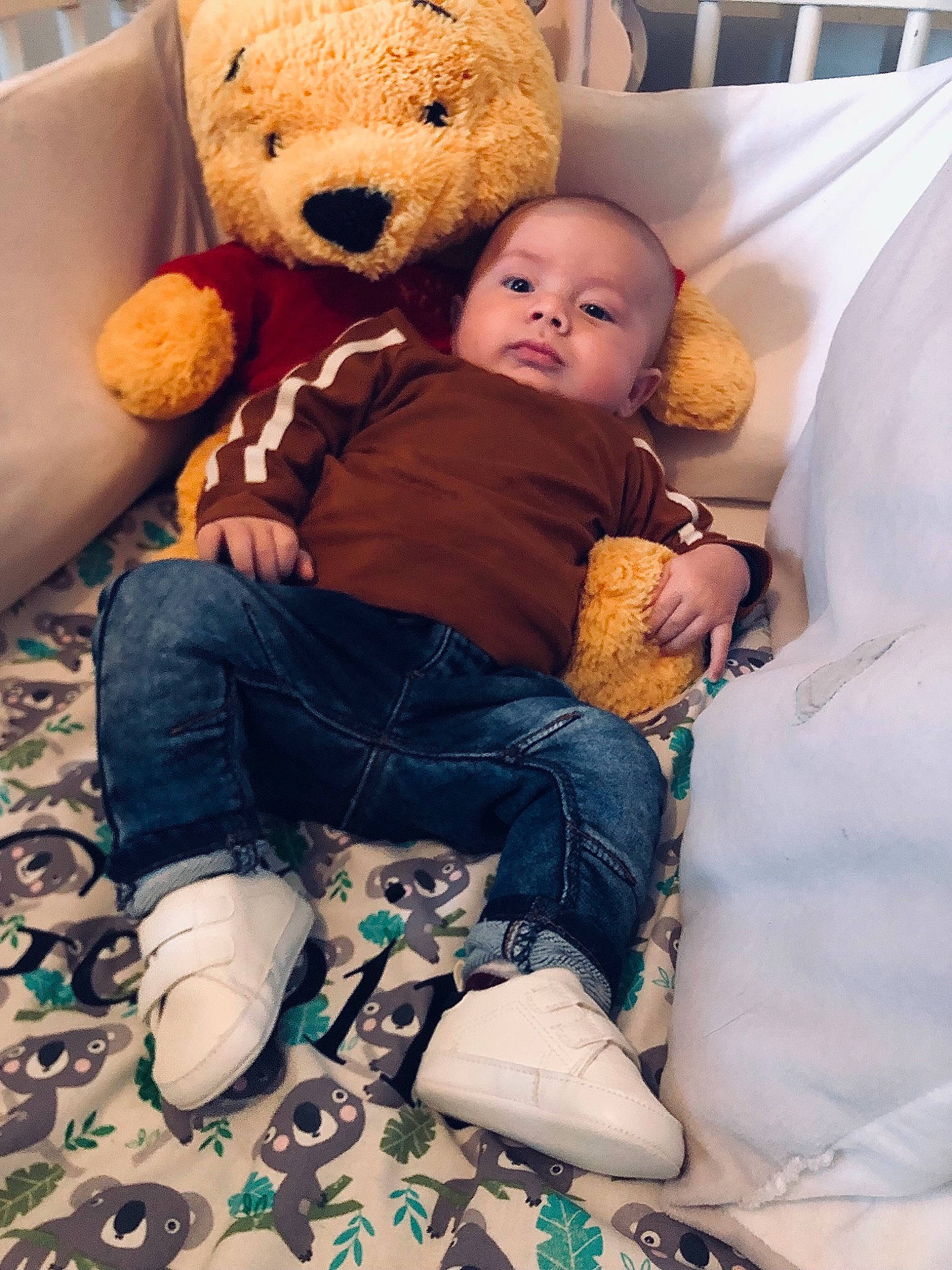 Gabin participe au concours pour gagner de l'argent avec cette photo : baby, baby_toddler_clothing, cheek, child, comfort, couch, fur, happy, head, people, person, plush, room, sitting, skin, stuffed_toy, teddy_bear, textile, toddler, toy