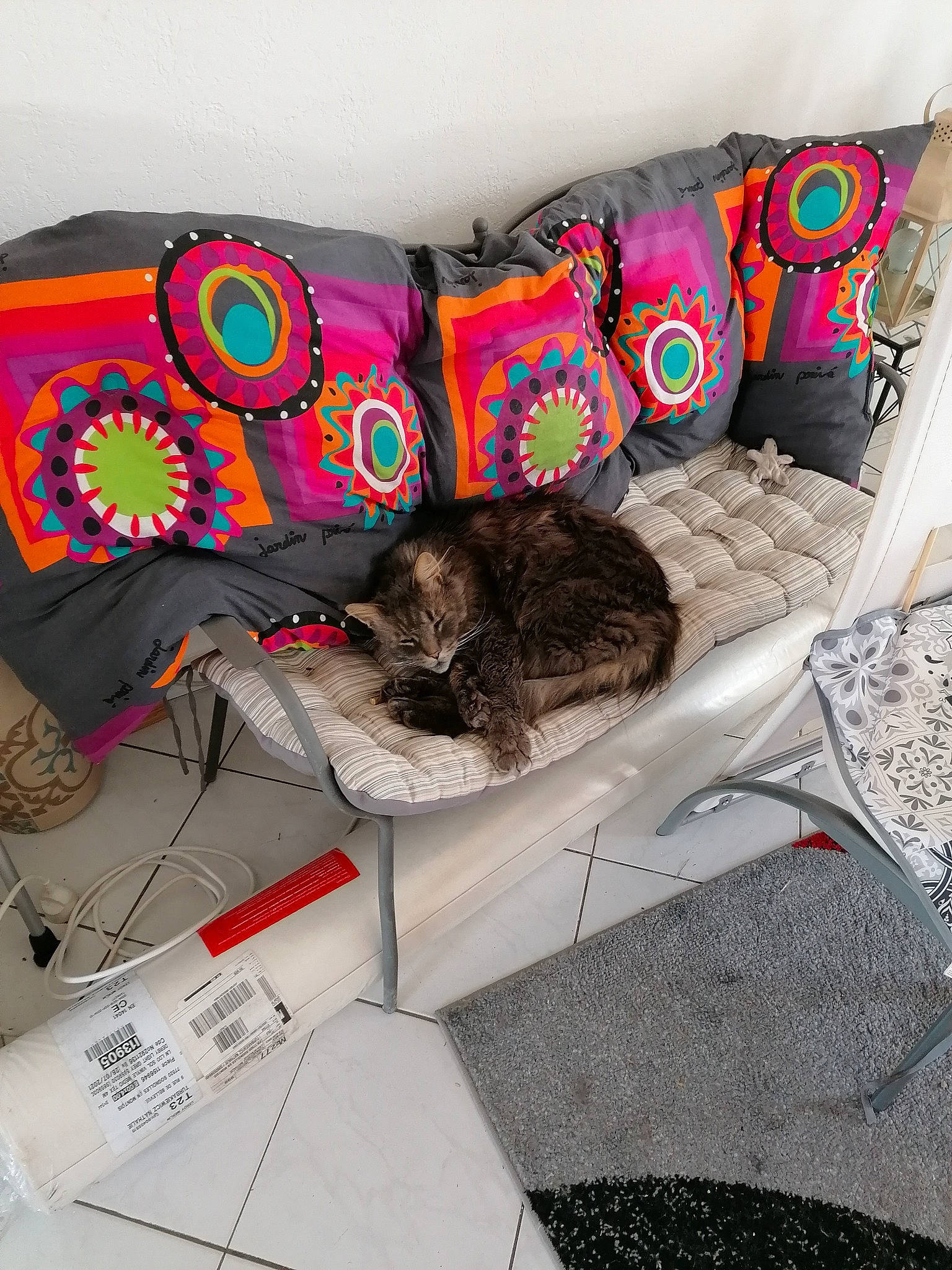 Soprano a rejoint le concours — aidez-le/la à gagner de superbes lots ! bag, carnivore, cat, comfort, couch, fawn, felidae, grey, linens, living_room, luggage_and_bags, mammal, outdoor_furniture, pattern, shoe, small_to_medium_sized_cats, studio_couch, textile, vertebrate, whiskers