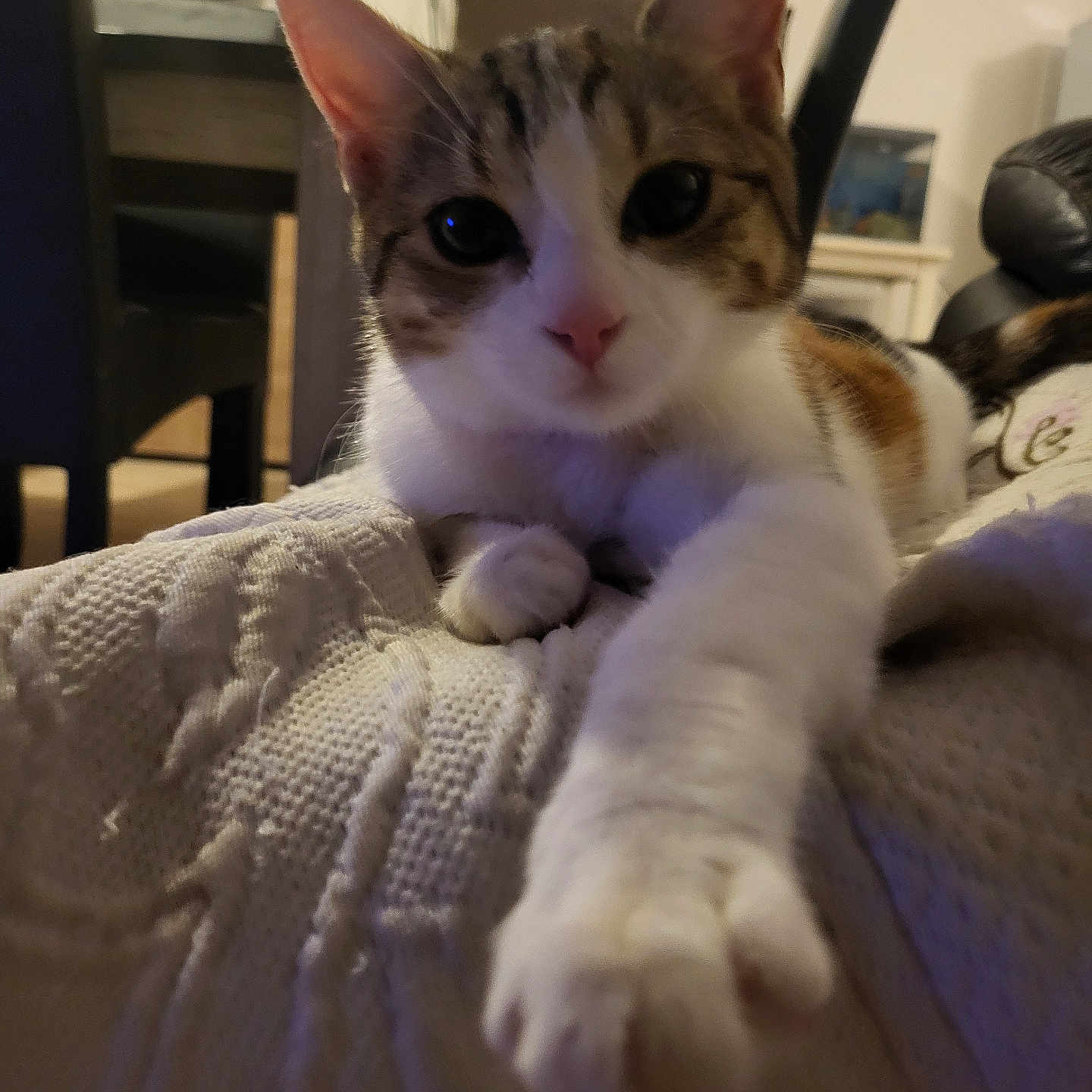 Vanya