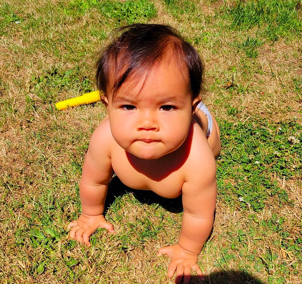 Chosianna joined the competition — help win amazing prizes! baby, baby_toddler_clothing, black_hair, crawling, face, fun, grass, hair, happy, human_body, leg, mouth, nature, nose, people_in_nature, person, plant, skin, thigh, thumb