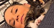 Willow joined the competition — help win amazing prizes! animal, bed, black_clothing, calico, cat, closeup, cute, face, fur, headboard, indoor, kitten, person, pet, pillow, relaxed, resting, snuggling, whiskers, young