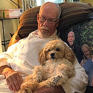 Jordan joined the competition — help win amazing prizes! brown_hair, casual, chair, cozy, curtains, dog, elderly_man, facial_hair, furniture, glasses, hand, indoor, pet, pillow, portrait_photo, relaxing, sleeping, smiling, white_robe, window