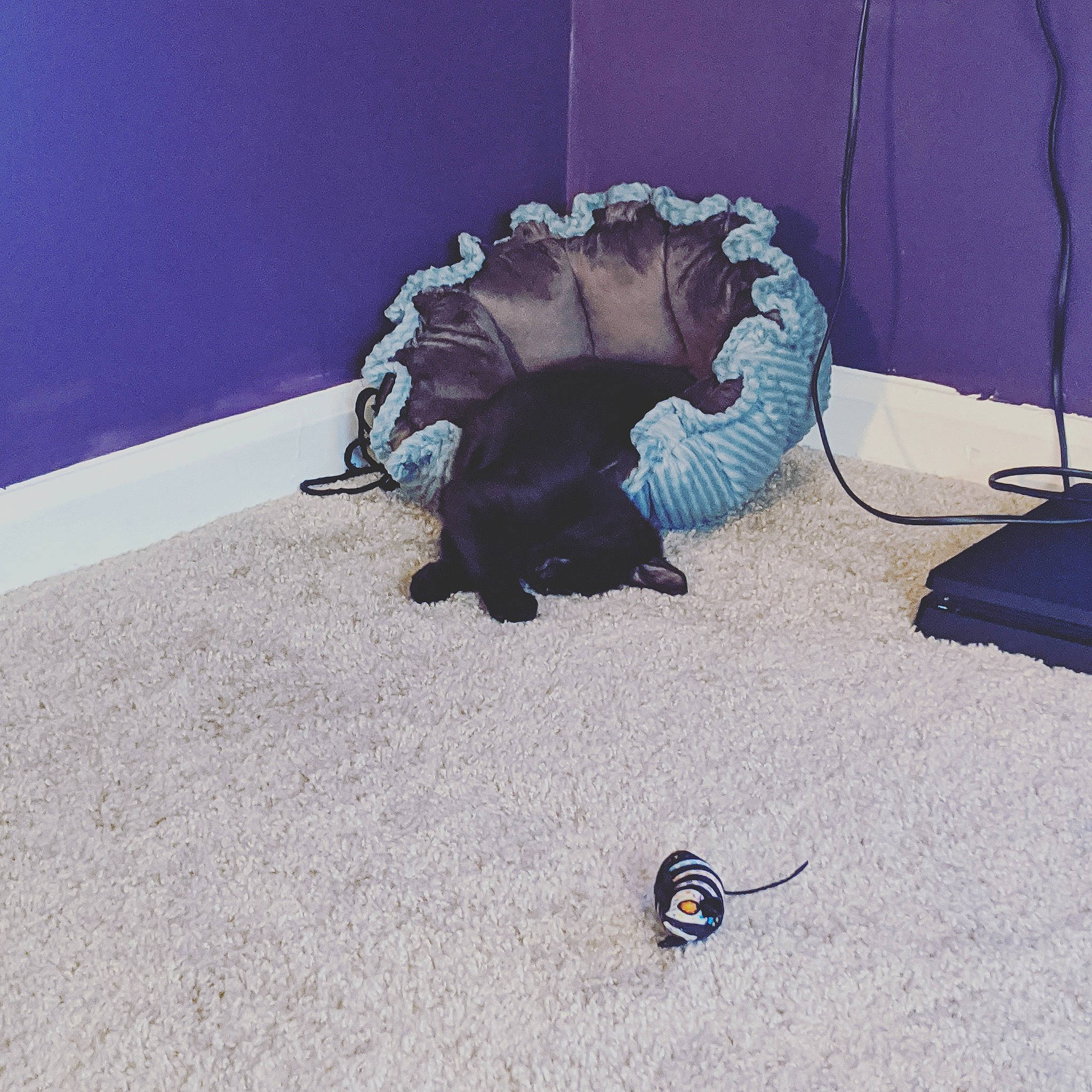 Udon joined the competition — help win amazing prizes! dinosaur, floor, head, illustration, reptile, scaled_reptile, shoe