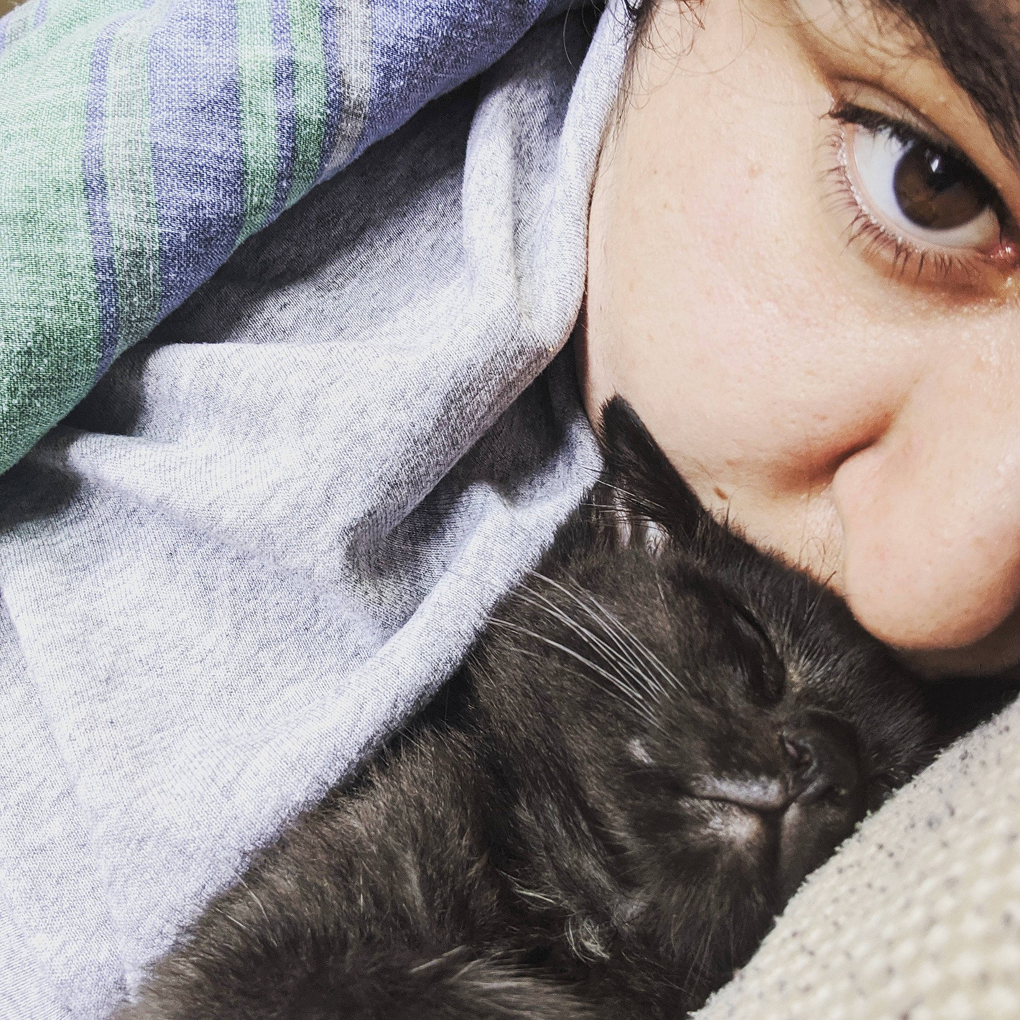 Udon is registered to the contest to win money with this photo: beauty, cat, cheek, cool, ear, eye, eyebrow, face, felidae, forehead, fur, hair, head, lip, nose, organ, selfie, skin, small_to_medium_sized_cats, whiskers