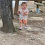Jean participe au concours pour gagner de l'argent avec cette photo : background, casual, child, clothing, daylight, dirt_path, footwear, gathering, nature, outdoor, people, person, shirt, shorts, summer, toddler, tree, walking, wooden_fence, young_child