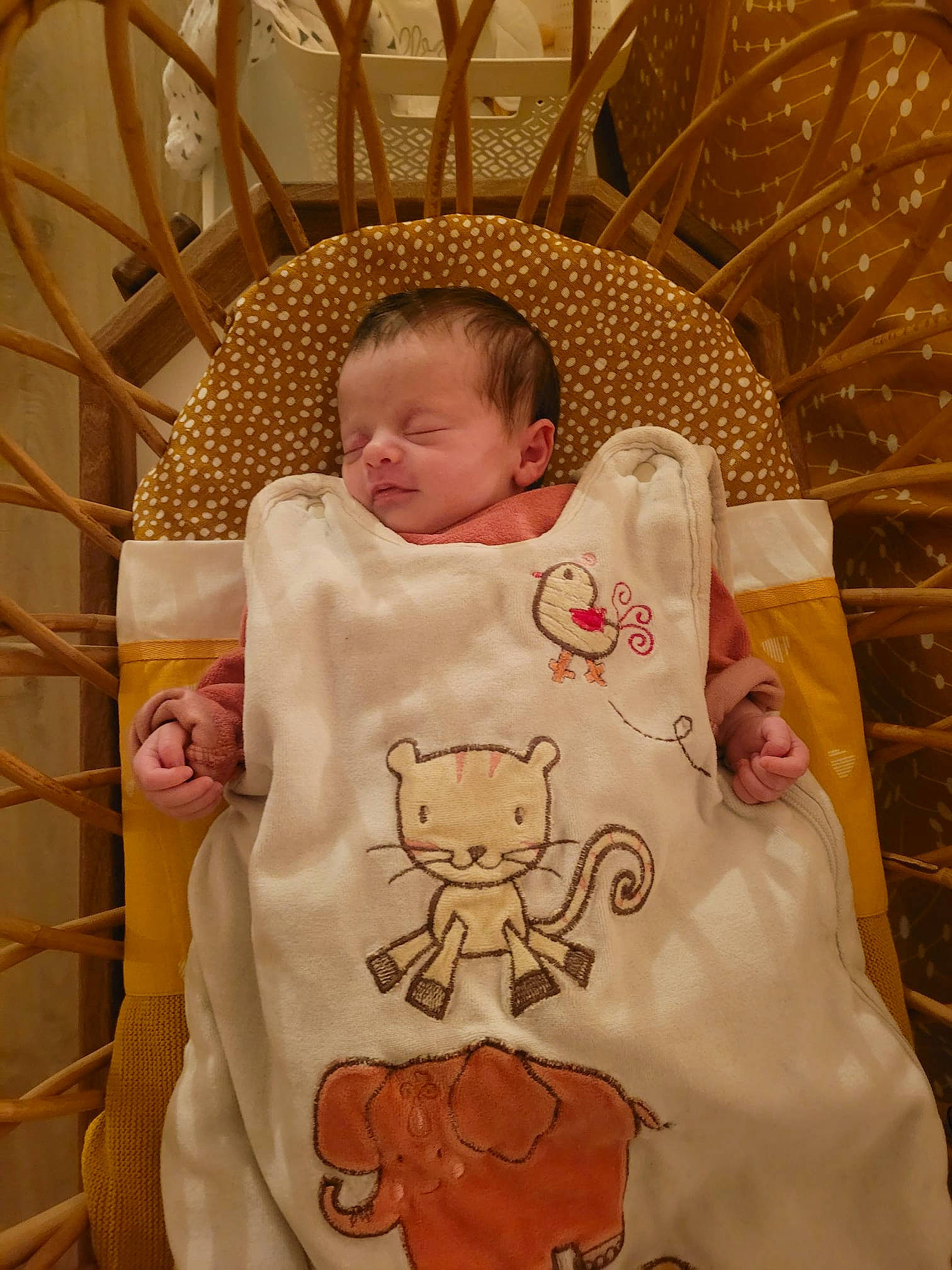 Gabrielle a rejoint le concours — aidez-le/la à gagner de superbes lots ! baby, baby_products, baby_safety, baby_sleeping, baby_toddler_clothing, bedding, cheek, child, comfort, cradle, happy, infant_bed, linens, pattern, peach, person, room, sleeve, smile, textile