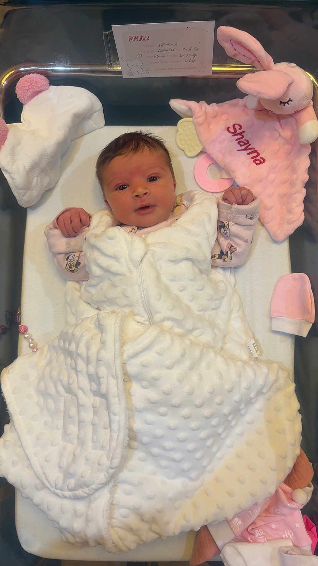 Shayna-Inaya participe au concours pour gagner de l'argent avec cette photo : newborn, baby, blanket, hospital_bassinet, plush_toy, pink, white, baby_clothes, mitten, hat, infant, face, cute, sleeping_area, soft_texture, baby_girl, wrapped, lying_down, newborn_care, baby_accessories