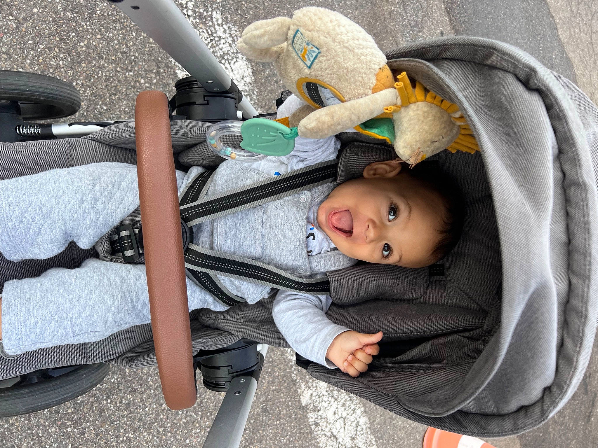 Charly participe au concours pour gagner de l'argent avec cette photo : auto_part, baby, baby_carriage, baby_products, baby_safety, car_seat, child, comfort, family_car, lap, mammal, person, sitting, smile, surprise, tire, toddler, travel, tree