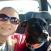 Ella joined the competition — help win amazing prizes! woman, dog, car_interior, sunglasses, seat, collar, pet, smile, sunlight, casual_clothing, hand, seatbelt, window, leisure, portrait, animal, friendship, companion, transport, daylight